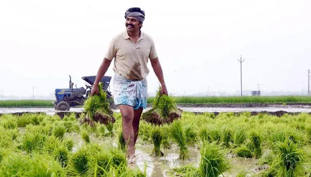  “Don't farm; Go to another job! ” Wife commits suicide